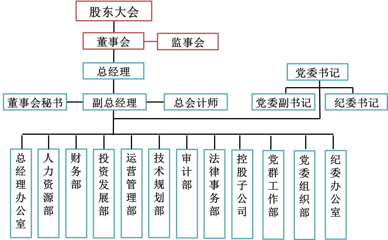 组织结构 - 恒天凯马股份有限公司